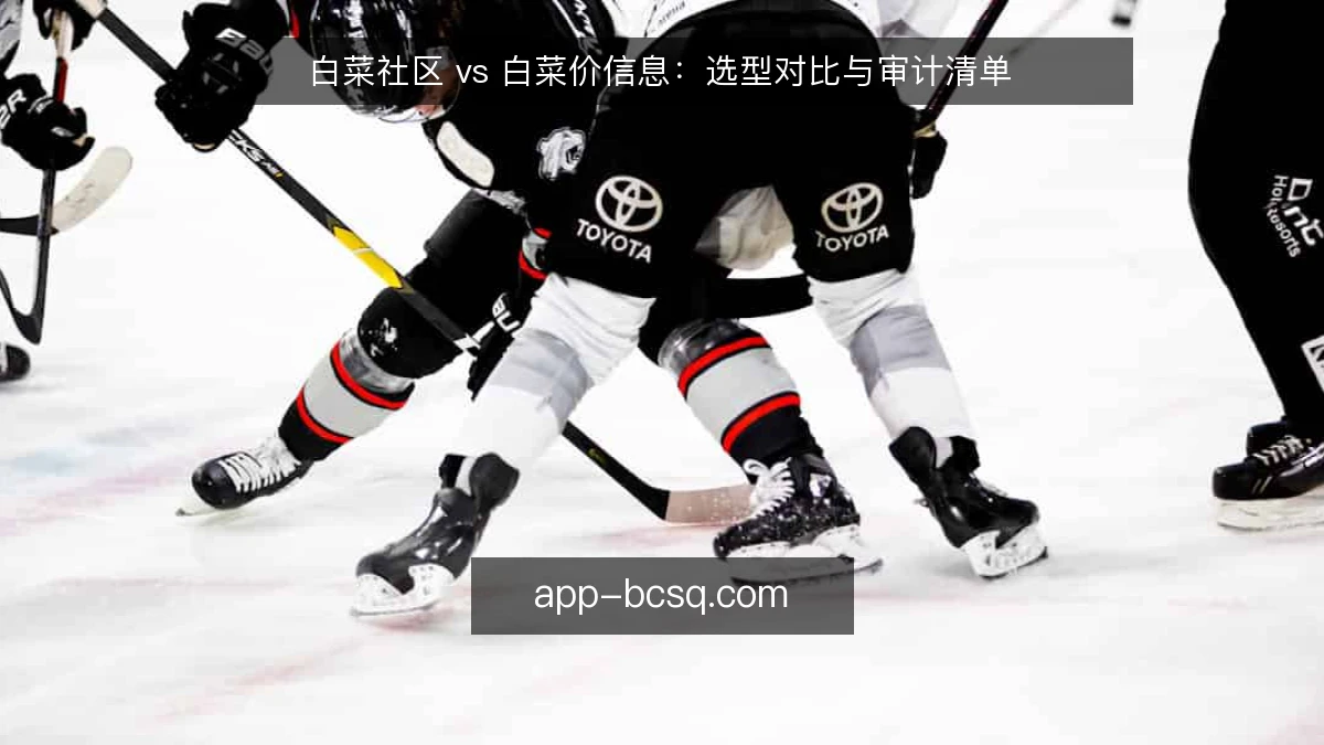 白菜社区 vs 白菜价信息：选型对比与审计清单