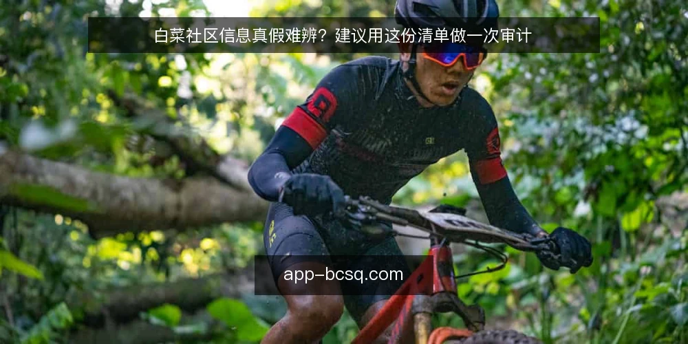 白菜社区信息真假难辨?建议用这份清单做一次审计 — 为什么现在要审计你的白菜信息源 配图