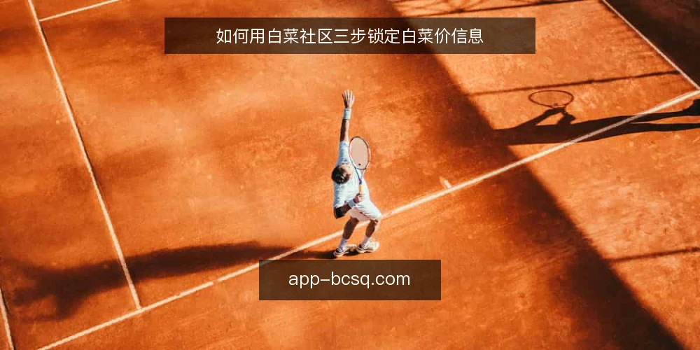 如何用白菜社区三步锁定白菜价信息 — 场景设定:准备开始捡漏 配图
