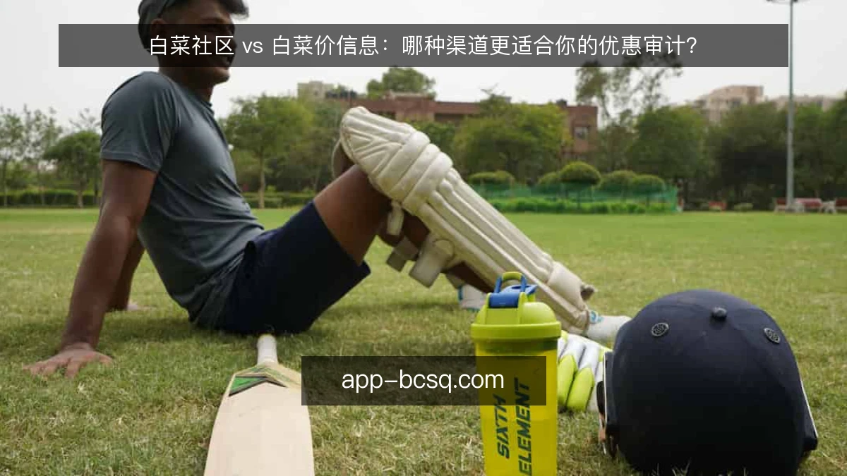 白菜社区 vs 白菜价信息：哪种渠道更适合你的优惠审计？