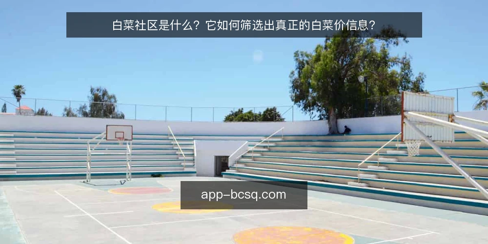 白菜社区是什么?它如何筛选出真正的白菜价信息? — 白菜社区是什么? 配图