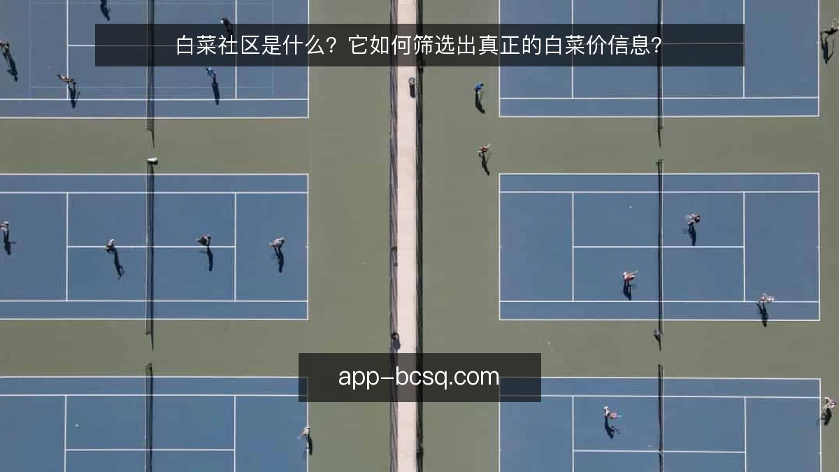 白菜社区是什么？它如何筛选出真正的白菜价信息？