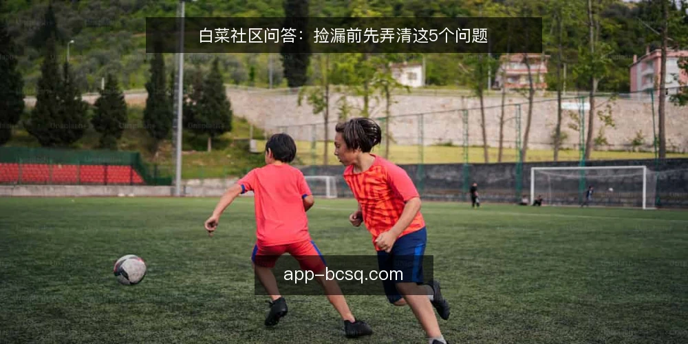 白菜社区问答:捡漏前先弄清这5个问题 — 先问自己:捡漏的核心是什么? 配图