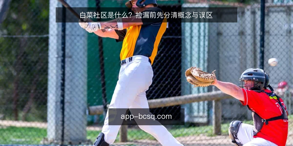 白菜社区是什么?捡漏前先分清概念与误区 — 白菜社区的概念边界:它是什么,不是什么 配图