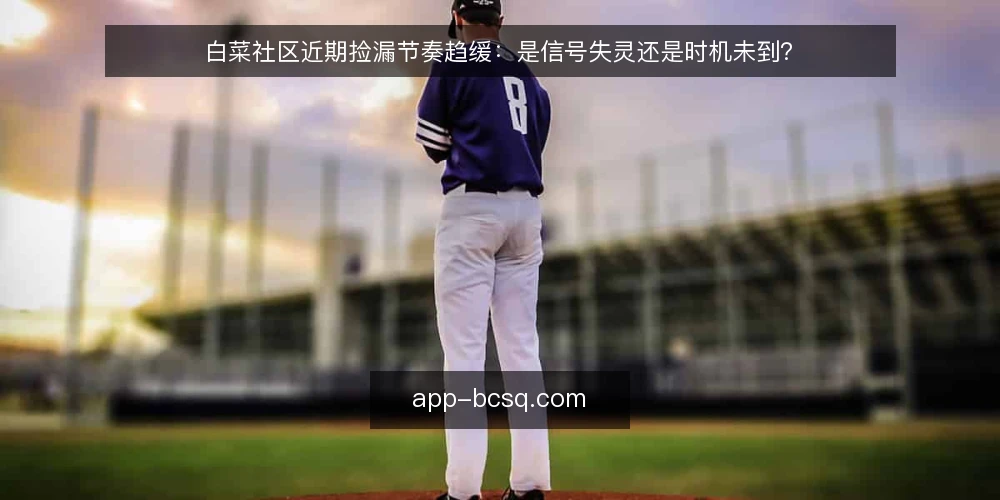 白菜社区近期捡漏节奏趋缓:是信号失灵还是时机未到? — 近期捡漏节奏变化引发讨论 配图