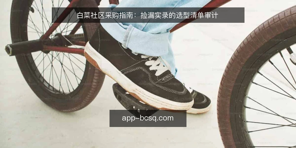 白菜社区采购指南：捡漏实录的选型清单审计 — 为什么现在要做一次捡漏采购审计 配图