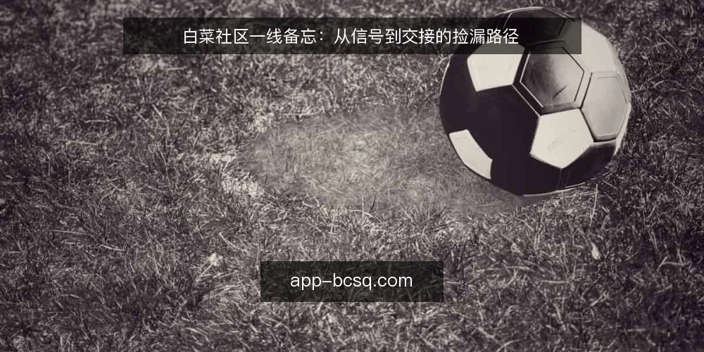 白菜社区一线备忘：从信号到交接的捡漏路径 — 先看哪些信号值得记一笔 配图