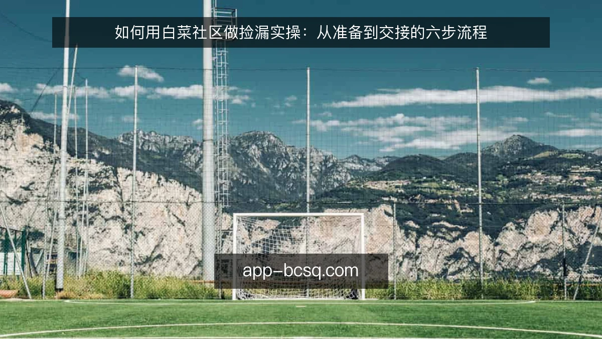 如何用白菜社区做捡漏实操:从准备到交接的六步流程