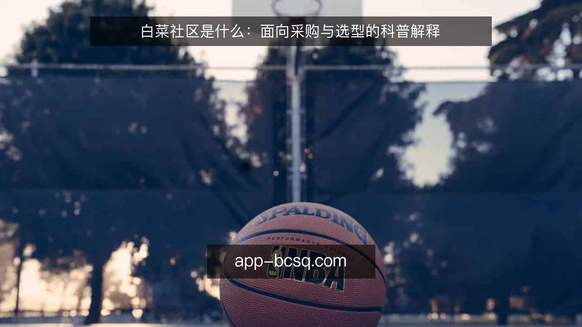 白菜社区是什么:面向采购与选型的科普解释